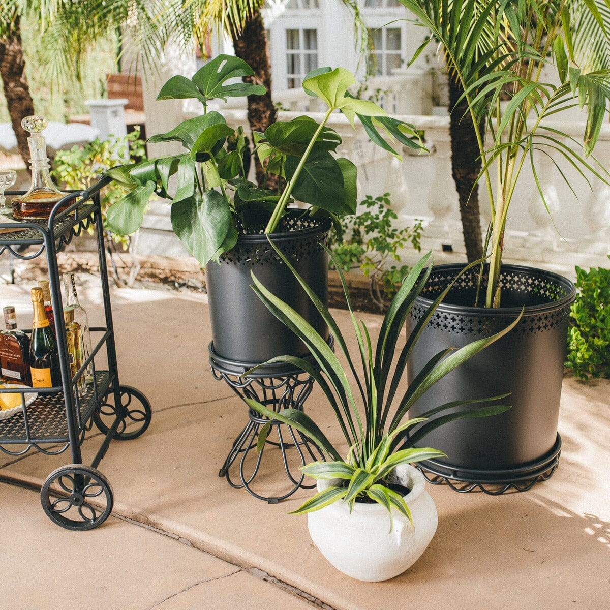 The Al Fresco Large Planter - Vintage Black - Image 2