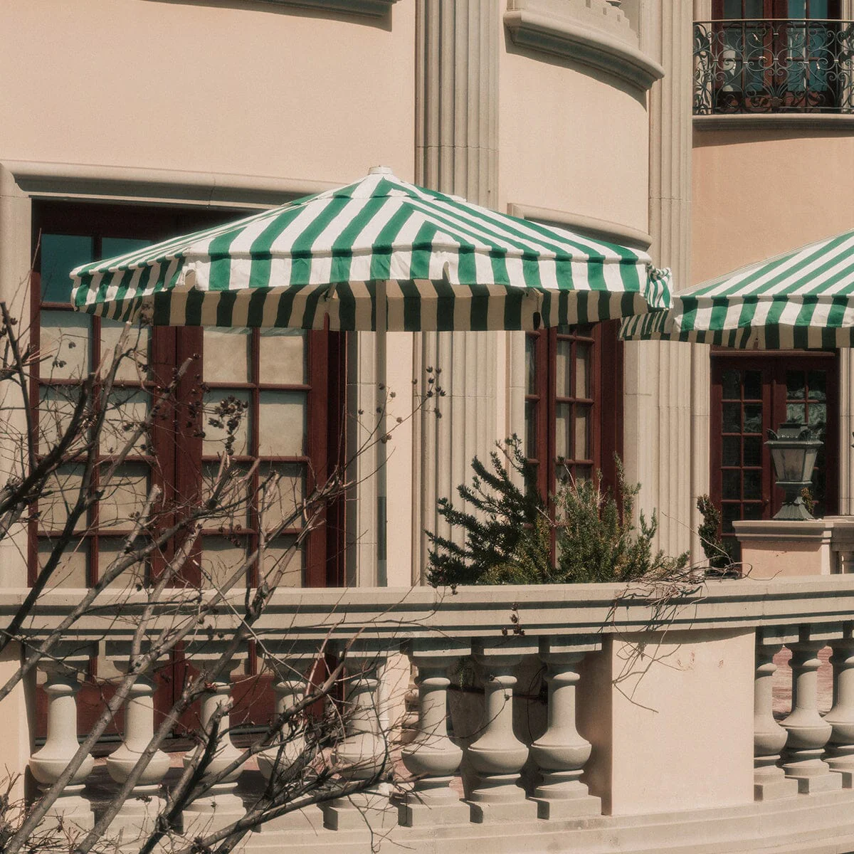 The Market Umbrella - Crew Canyon Green Stripe - Image 8